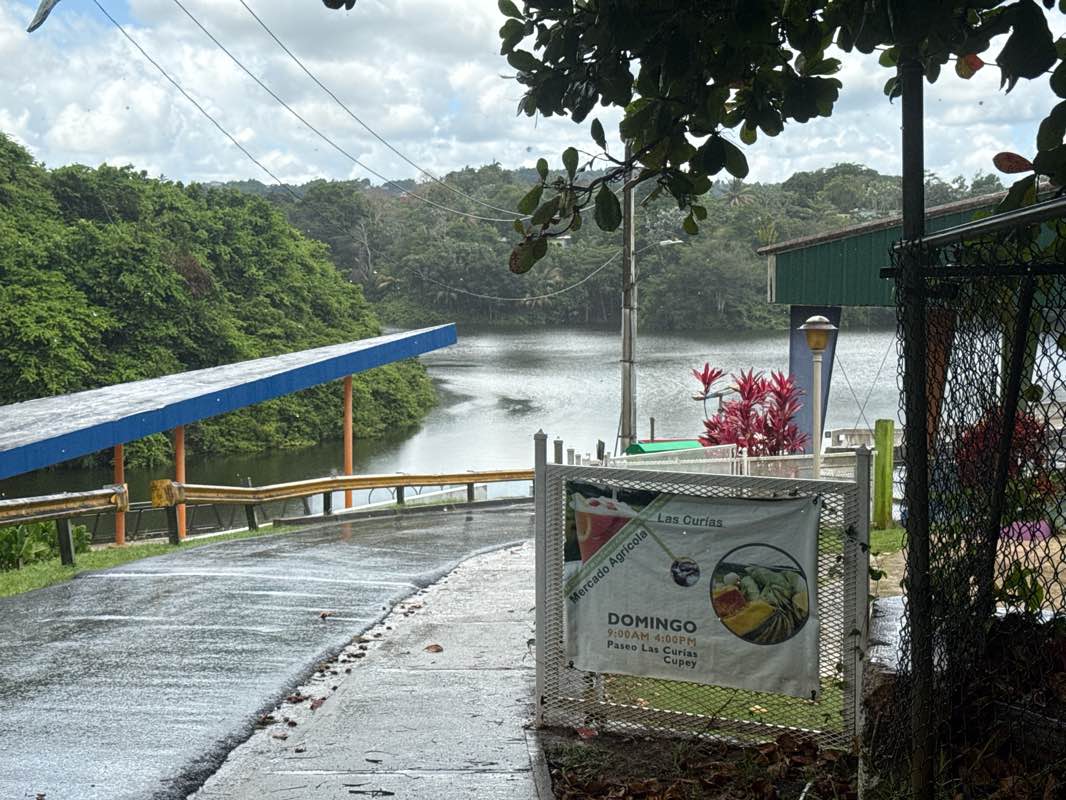 walking near me in Complejo Deportivo Rio Piedras Heights in autumn