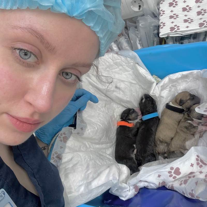 SPEEDERSЫ🌸🏅 Алиса post image