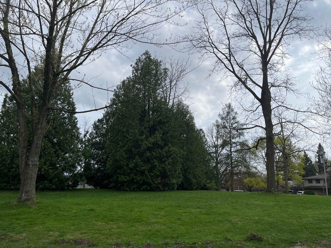 walking near me in Ruskin Park in spring