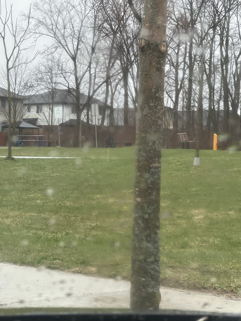 walking near me in Maple Grove Park in spring