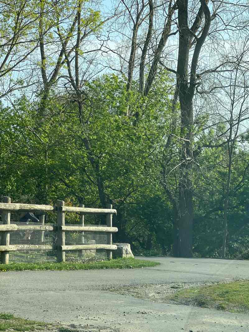 walking near me in Ann Street Park in spring