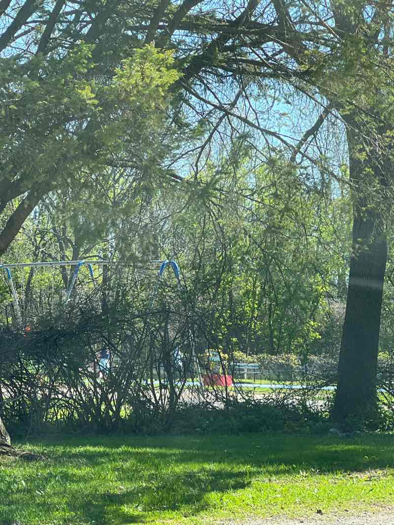 walking near me in University Heights Park in spring