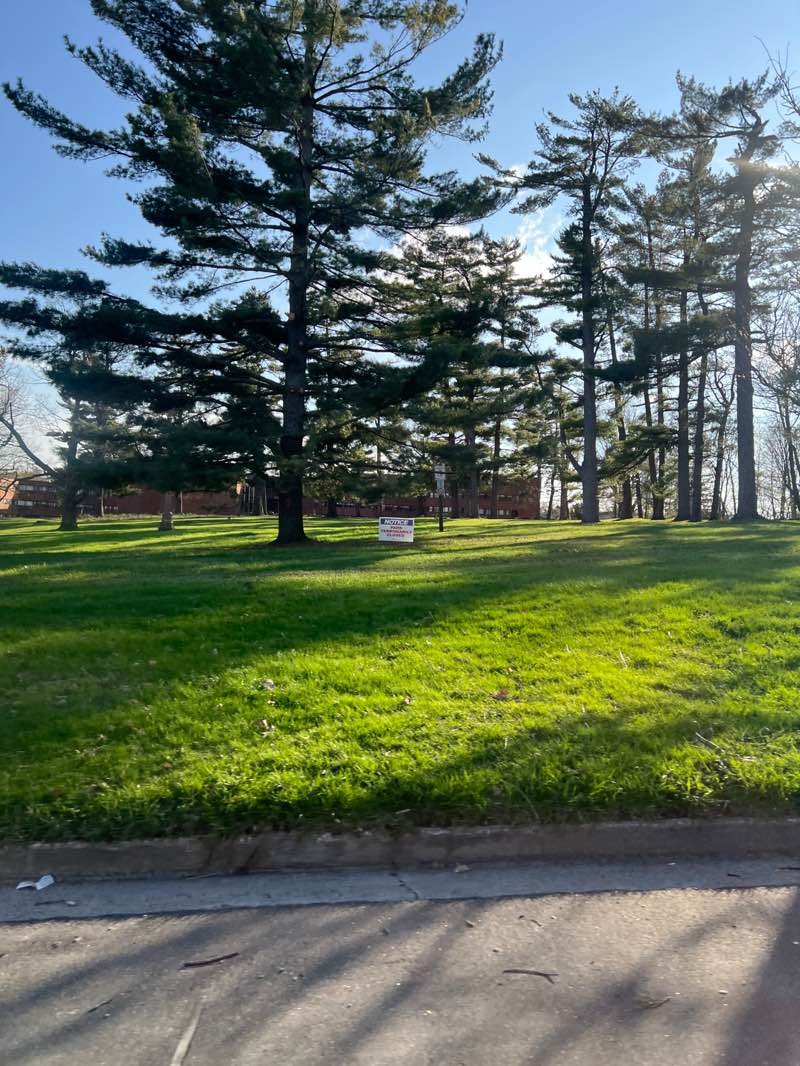 walking near me in Pioneer Memorial Park in spring