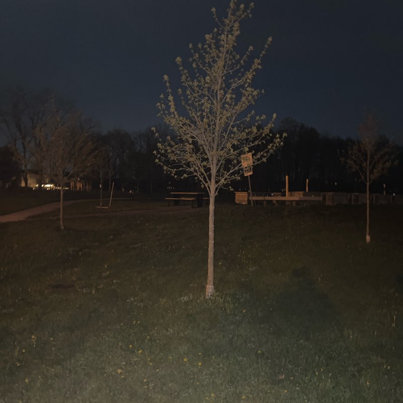 Shibin Emmanuel post 1