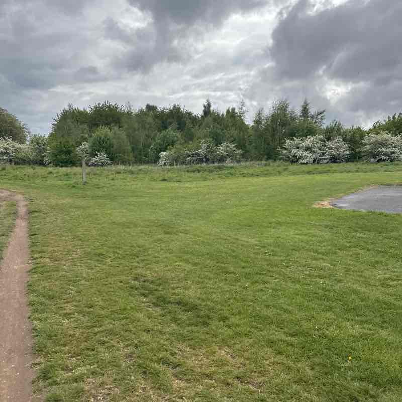 Adam 🇬🇧 post 2