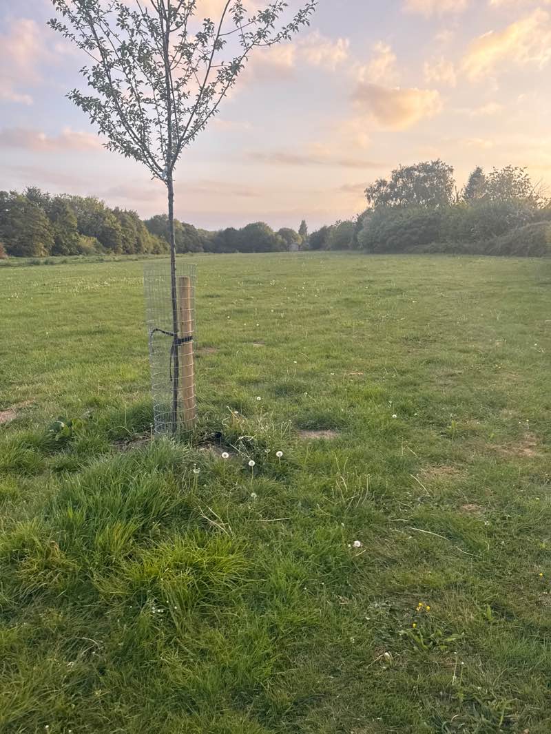 walking near me in Ellenbrook Green/Playing Fields in spring