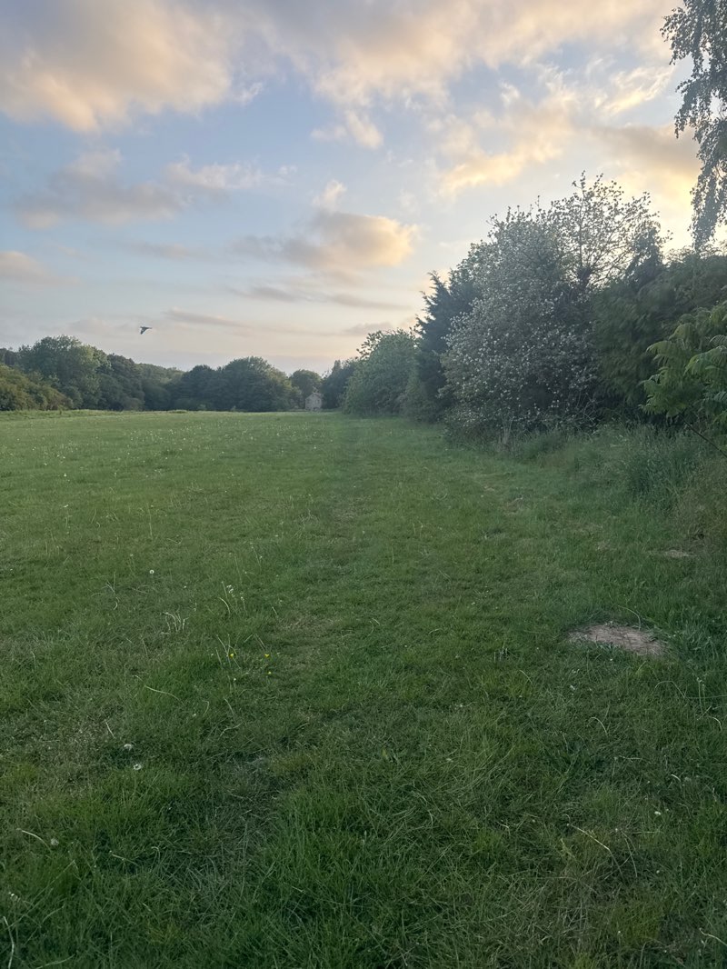 walking near me in Ellenbrook Open Space in spring