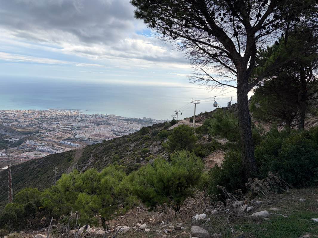 walking near me in Parque de los Arboles in autumn