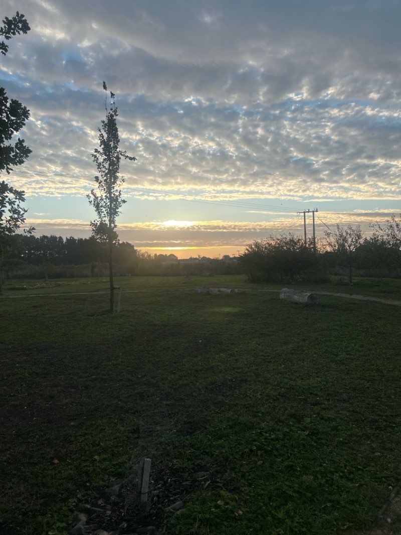walking near me in Little Acre Fen Pocket Park in autumn