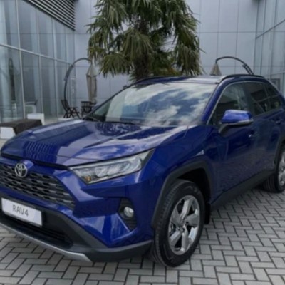 АДРЕНАЛИН. MANEKI NEKO Людмила Науменко post image