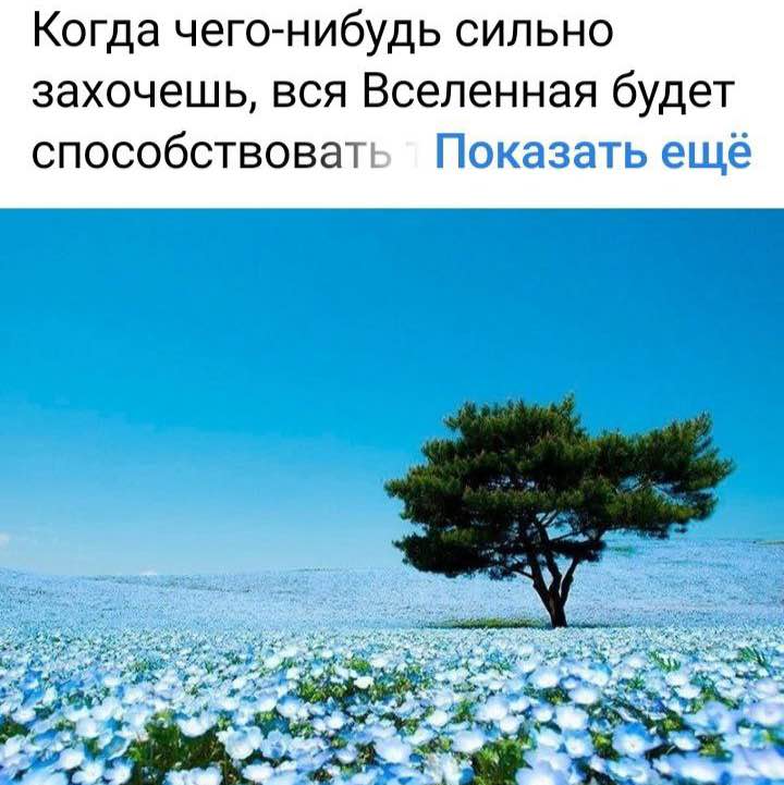 ВОПРЕКИ. MANEKI NEKO Зина Солнечная post image