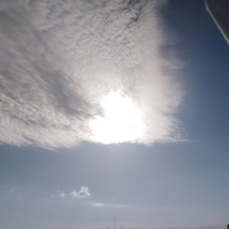 ВОПРЕКИ. MANEKI NEKO Зина Солнечная post image