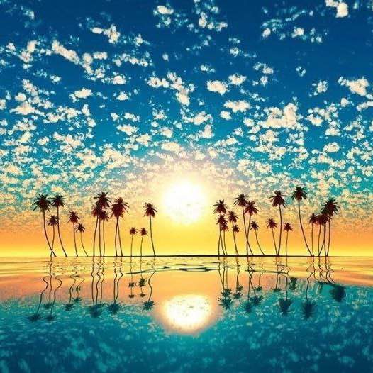 ВОПРЕКИ. MANEKI NEKO Зина Солнечная post image