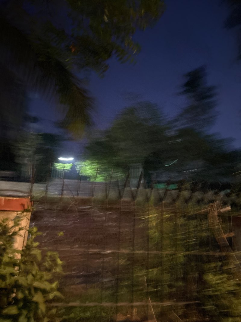 walking near me in Jnanajyoti Savitribai Phule Udyan in spring