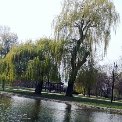 lubimy chodzić monika post image