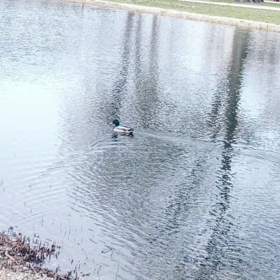 lubimy chodzić monika post image