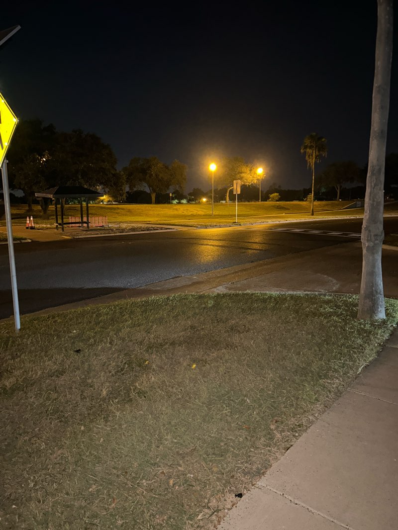 walking near me in Harlingen City Lake Park in autumn