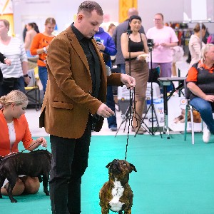 Ринат Зиятдинов profile