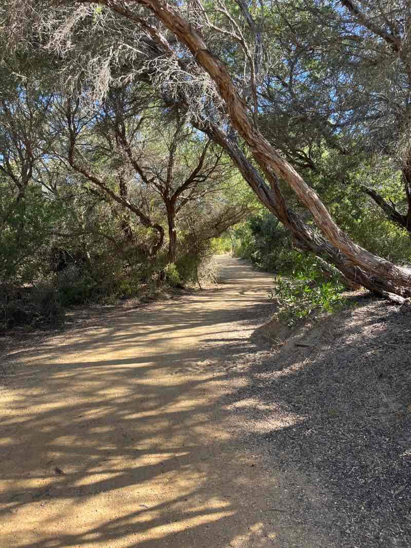 walking near me in Lake Connewarre Wildlife Reserve in summer