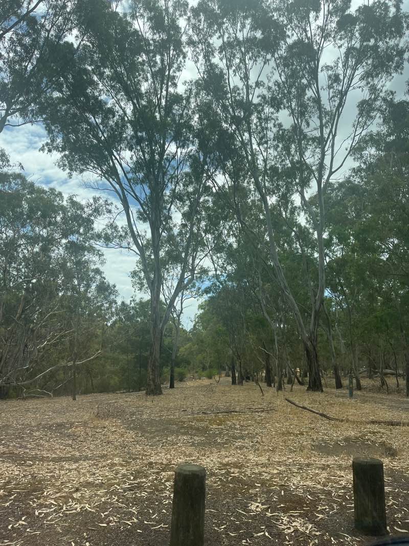 walking near me in Westerfolds Park in summer
