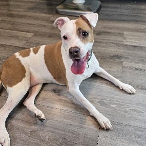 Emily Albert profile