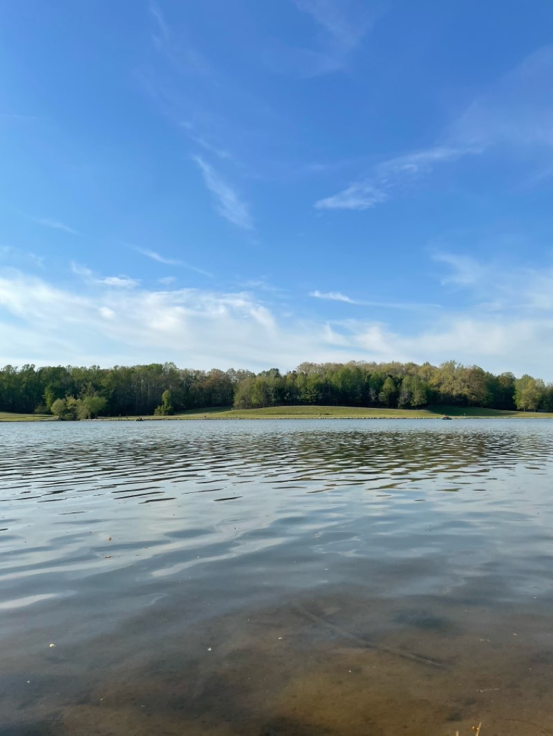 walking near me in Cane Creek Park in spring