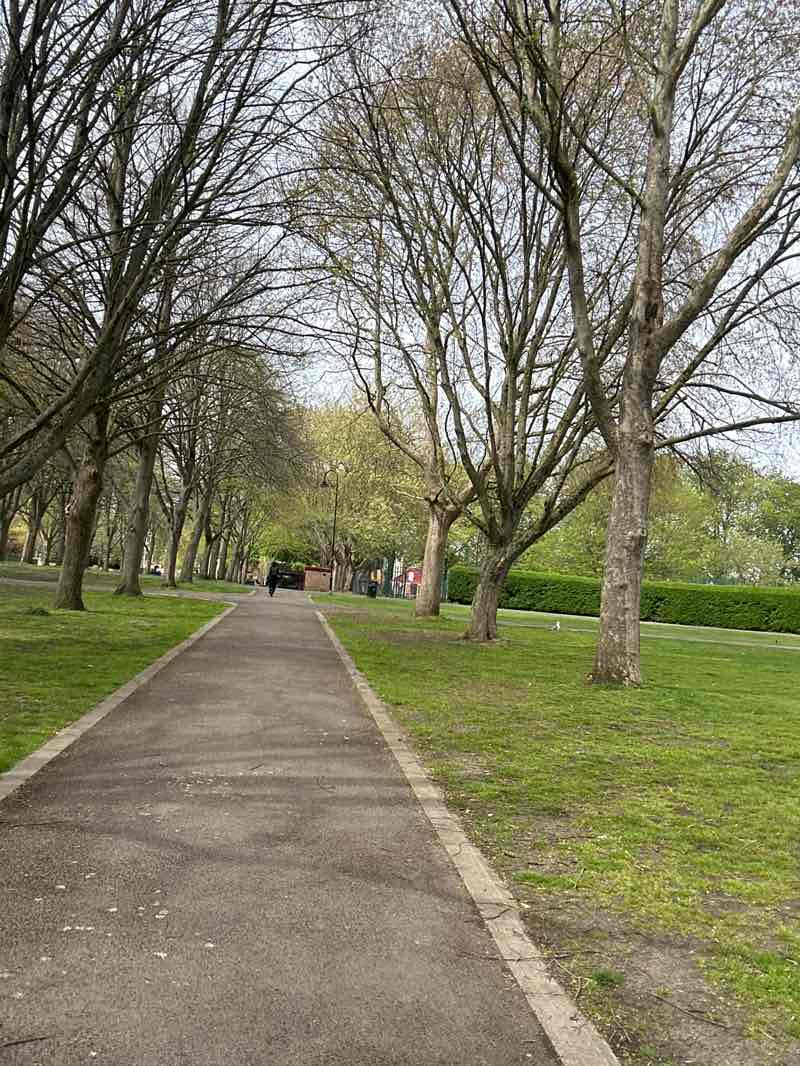 walking near me in The Park in spring