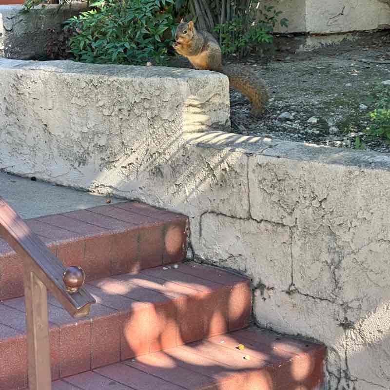 MAROMA Energy Services Mariana post image