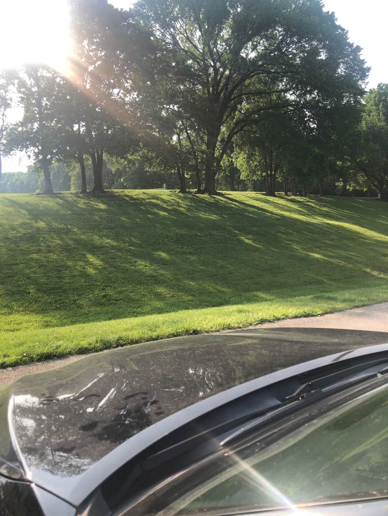 walking near me in Antrim Park in summer