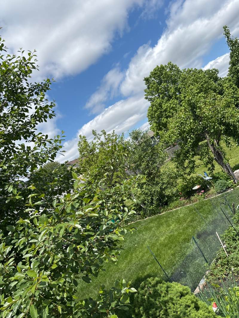 walking near me in Kendall Ridge Park in spring