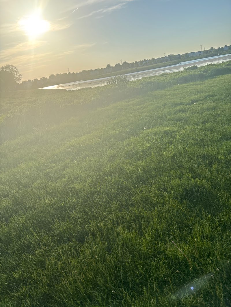 walking near me in The Park at Auburn Lakes in spring