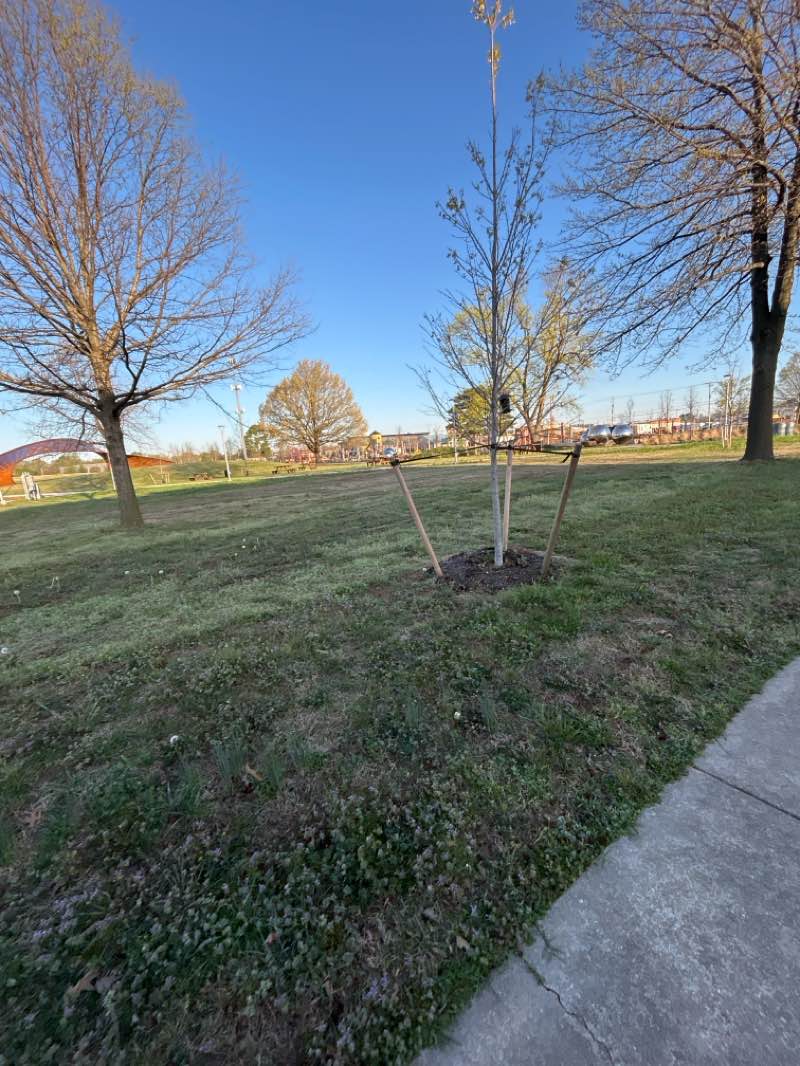 walking near me in Luther George Park in spring