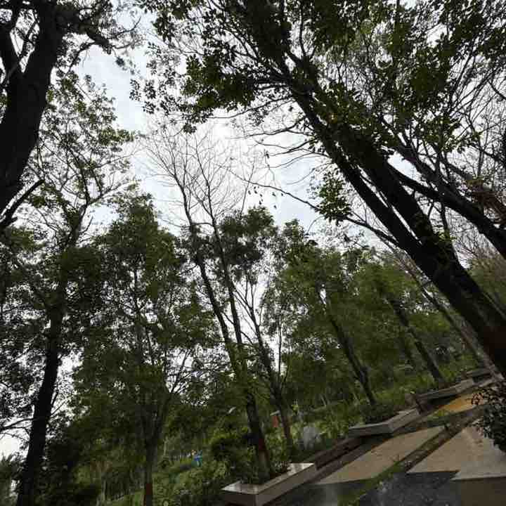 Girraj sharma post 1