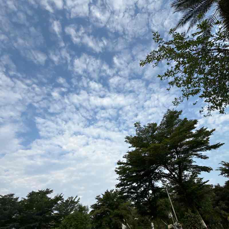 Girraj sharma post 1