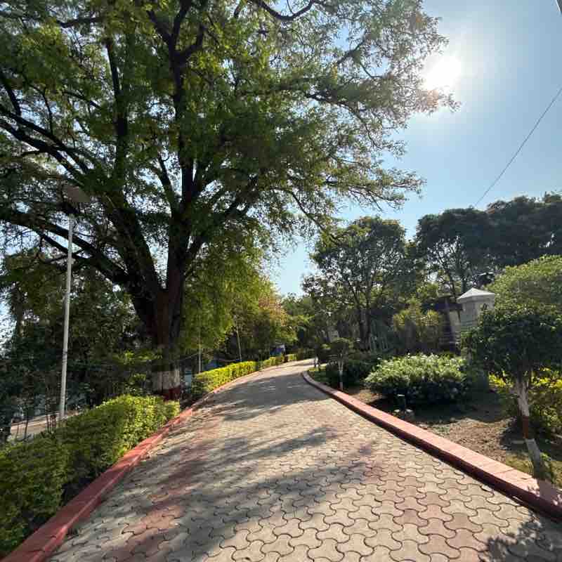 Girraj sharma post 1