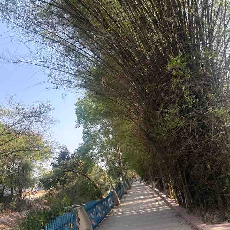 Girraj sharma post 1