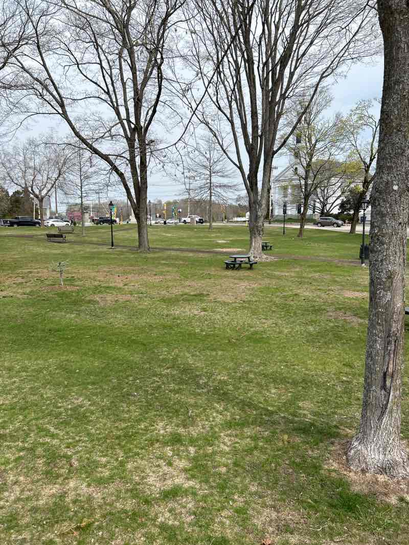 walking near me in Wrentham Town Common in spring