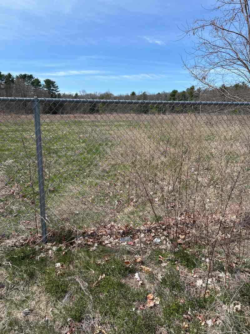 walking near me in Sweatt Park in spring