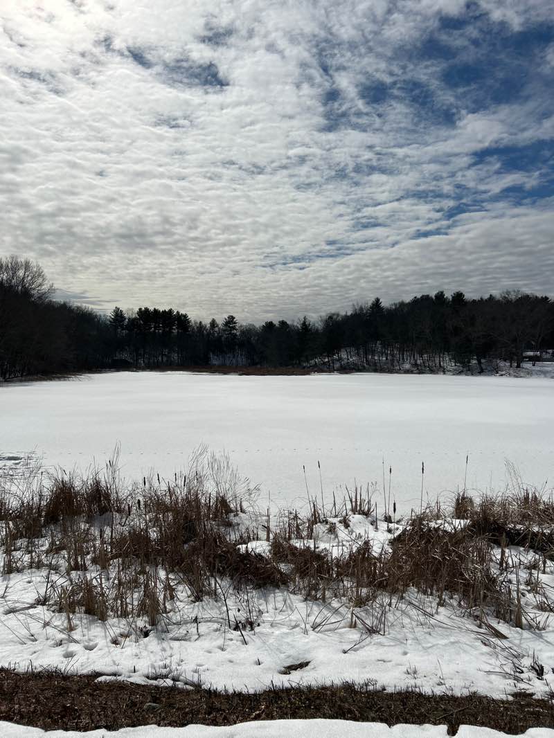walking near me in City Mills Pond in winter