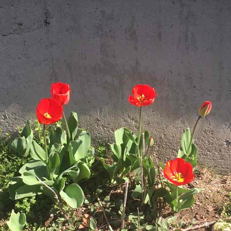 Let’s Get Movin Ben post image