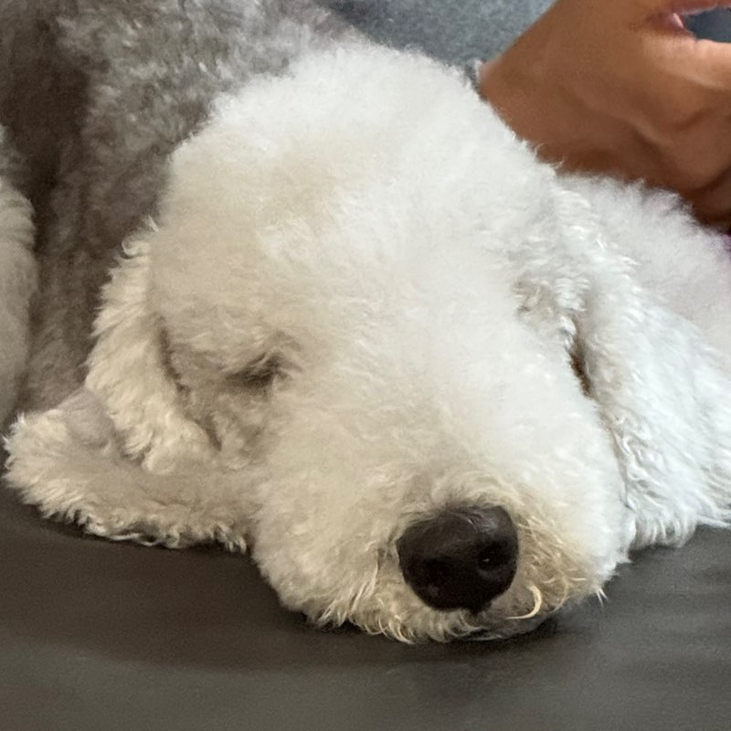 권성경 감염관리실 icon