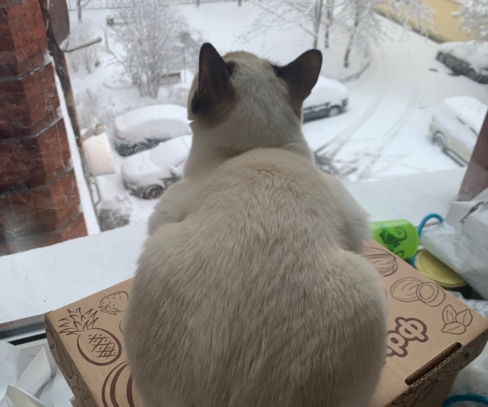 Татьяна profile