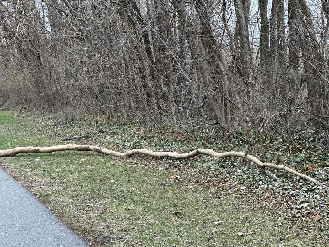 walking near me in Markley Park in spring