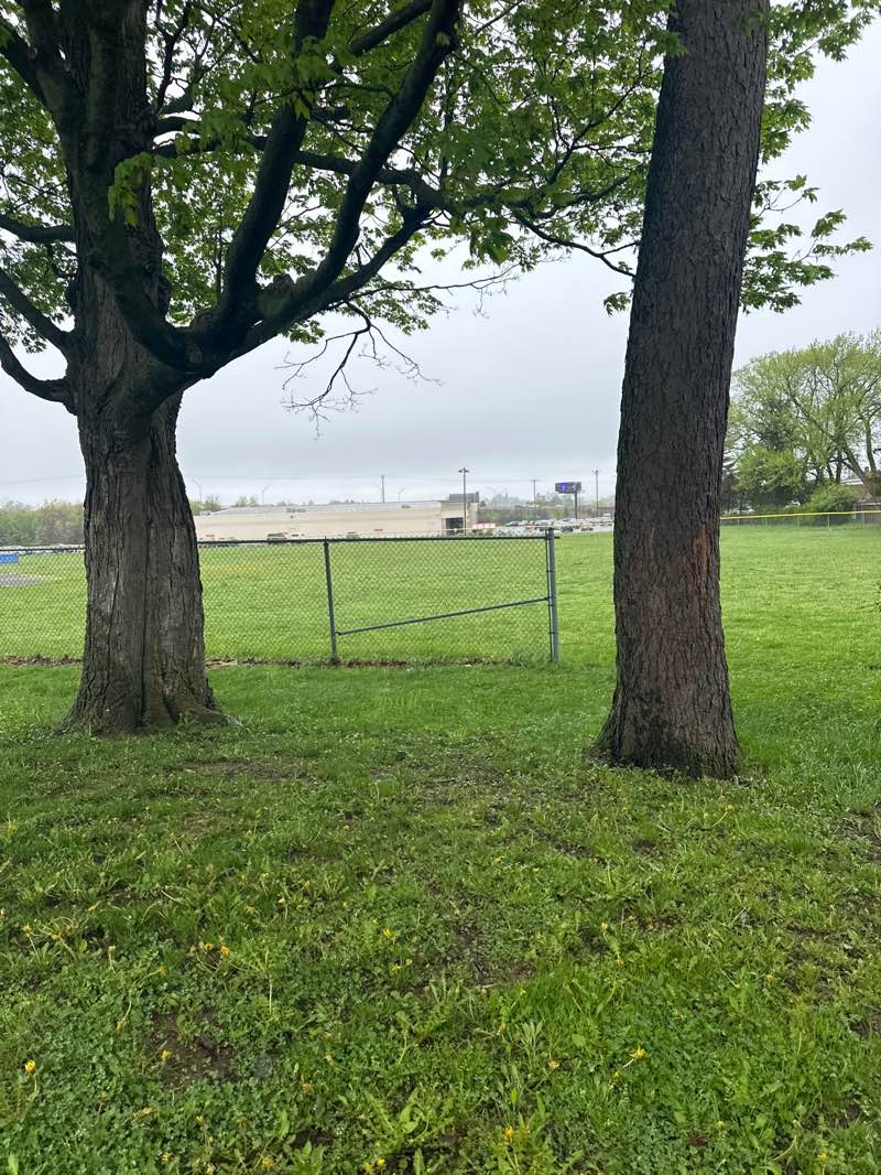 walking near me in Dix Mix Memorial Field in spring