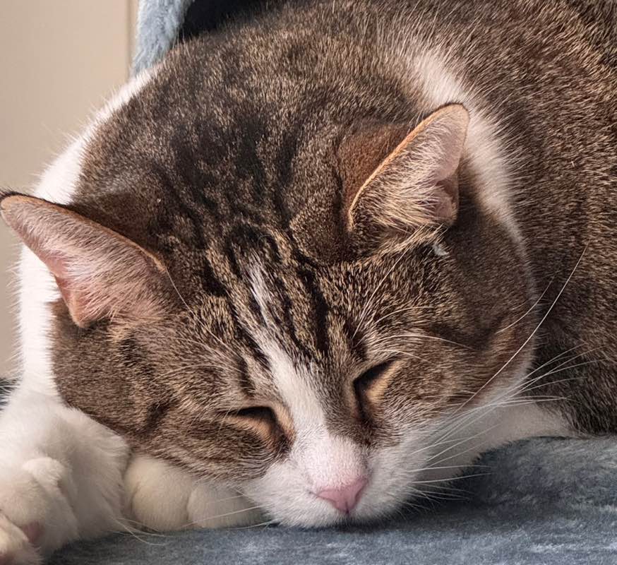 Cassie Weyers profile