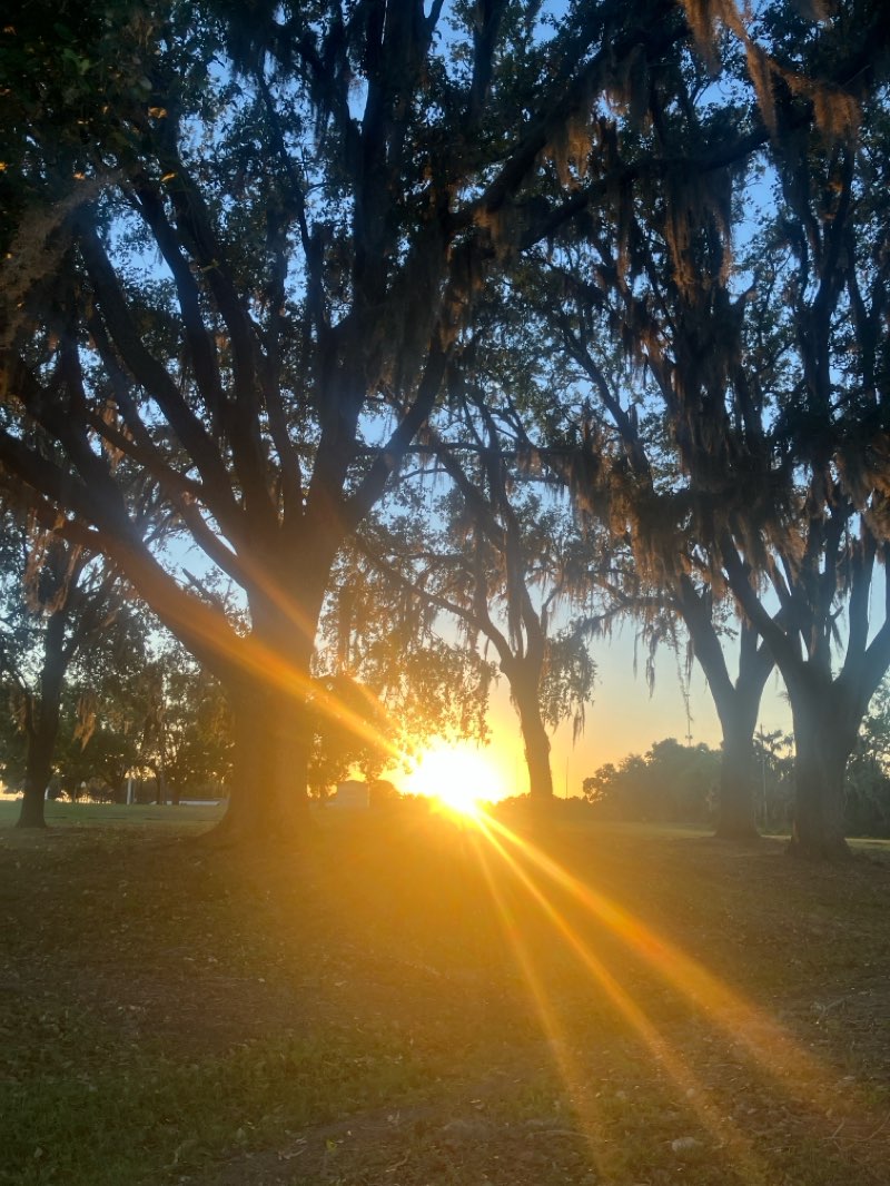 walking near me in E.L. Bing Park in spring