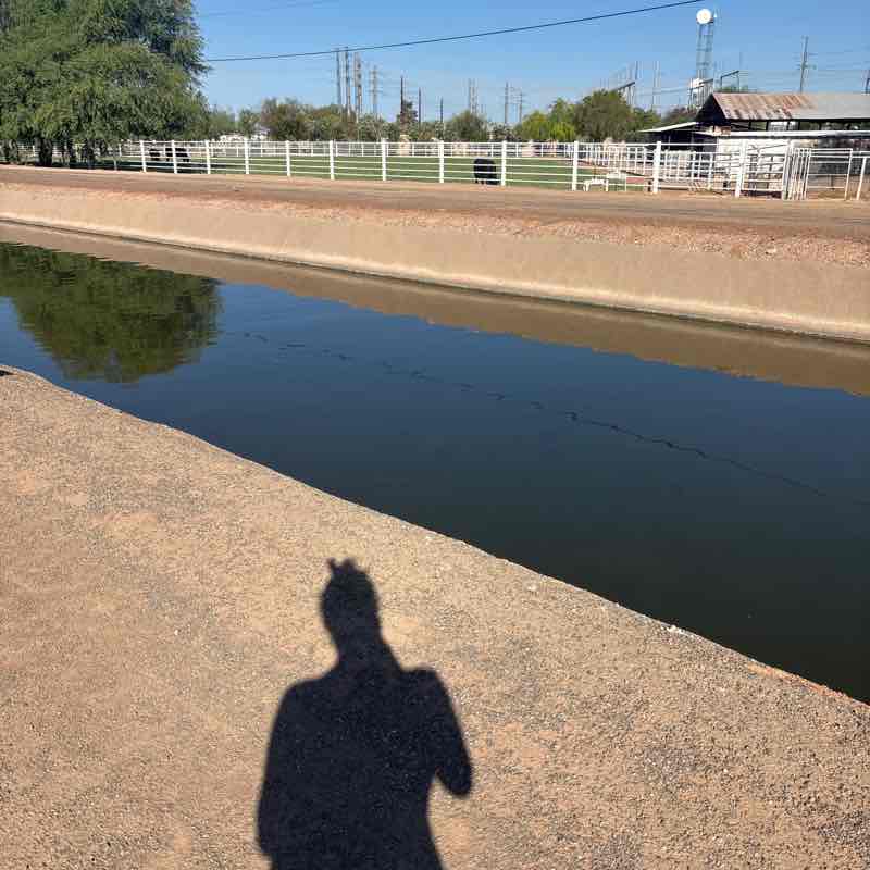 Kawaii Kat’s Rat Race Dommymeowellen💋 post image