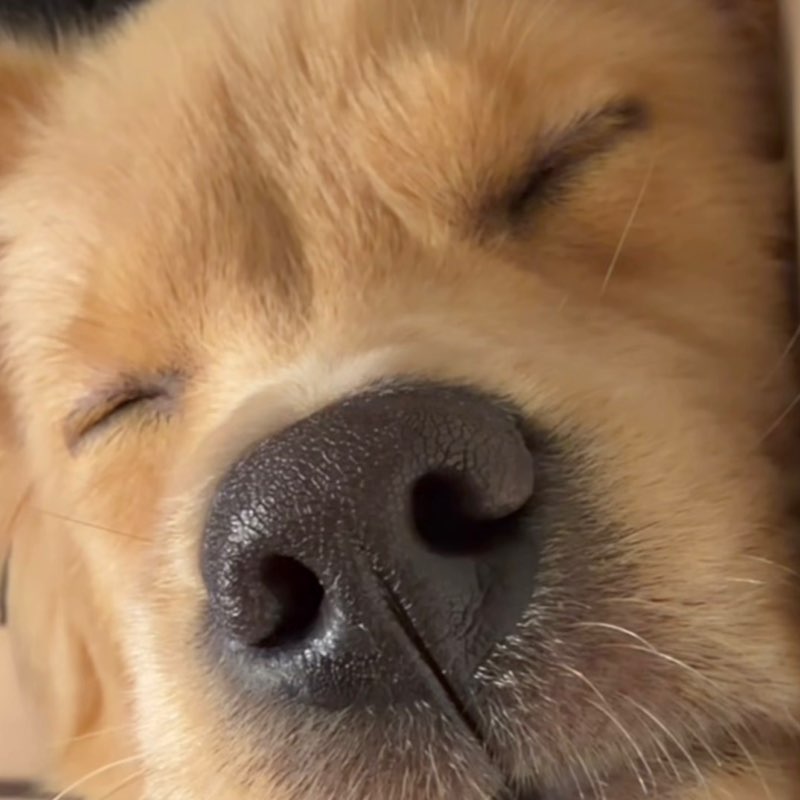 외식사업부 위봄 profile