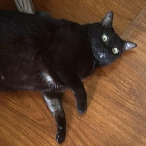 Itthichote Mahakpichien profile