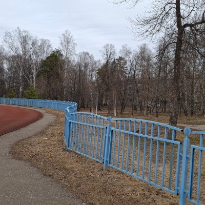 беговая группа Борис Камаев post image